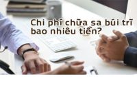 Chi phí chữa sa búi trĩ hết bao nhiêu tiền?