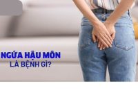 Ngứa hậu môn về đêm là bị bệnh gì?