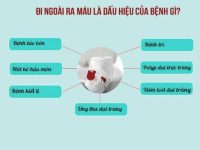 Đi ngoài ra máu là bị bệnh gì điều trị thế nào?